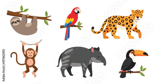Collection set flat style vector illustration of jungle animals including sloth, parrot, monkey, leopard and toucan, tropical wildlife characters isolated