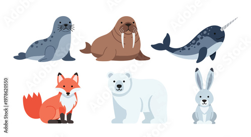 Collection set flat style vector illustration of arctic animals including seal, walrus, narwhal, polar bear and fox, cold wildlife characters isolated