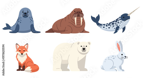 Collection set flat style vector illustration of arctic animals including seal, walrus, narwhal, polar bear and fox, cold wildlife characters isolated