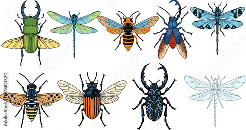 Insect Collection Vector Set with Beetle, Bee, Dragonfly and Wasp in Detailed Cartoon Style for Nature Illustration, Entomology Design and Wildlife Graphics