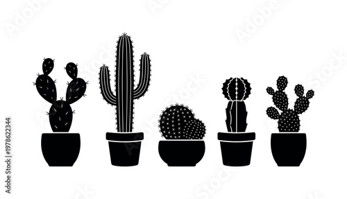 Cactus varieties in pots including prickly pear cactus pot, saguaro cactus pot, hedgehog cactus pot, moon cactus pot, bunny ear