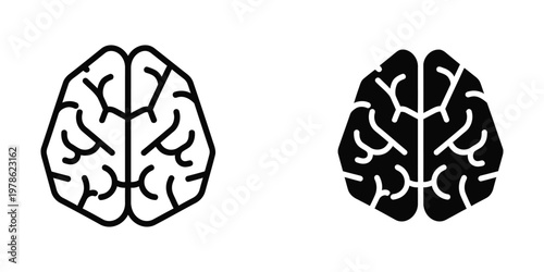 Contrast of human brain hemispheres with different visual styles for cognitive representation