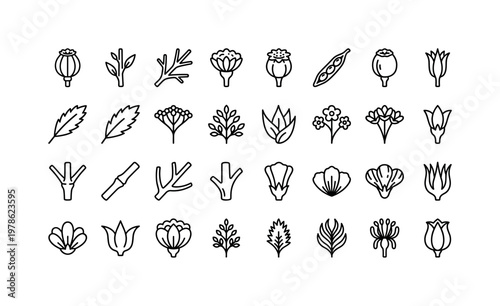 Dried flower parts with stems, blooms, seed heads, pods, plumes, and structural details clean monoline outline icon set showing