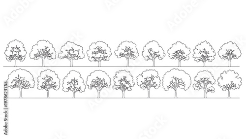 Collection of tree illustrations, natural arboreal outlines on a white background