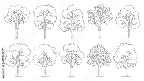 Collection of outline drawings of deciduous trees in various shapes and sizes