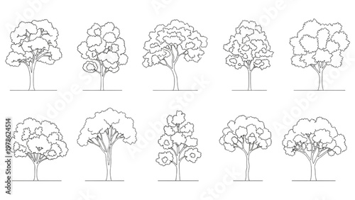 Collection of black and white line art illustrations of various deciduous trees