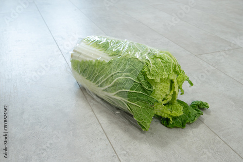 Wrapped green cabbage resting on a smooth surface in a kitchen setting during the day