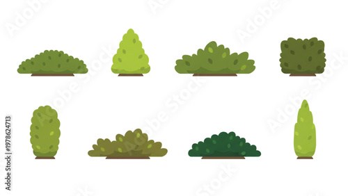 Various shapes and sizes of lush green bushes and shrubs for landscaping