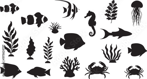 Black silhouettes of various sea creatures and plants on white