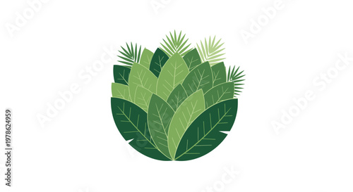 Collection of green leafy tropical plants.