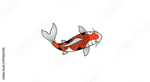 Colorful Koi Fish Illustration Isolated on White.