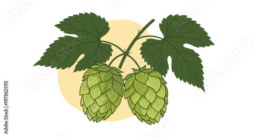 Two fresh green hop cones with leaves on a branch, perfect for representing brewing, beer ingredients, or organic herbal products.