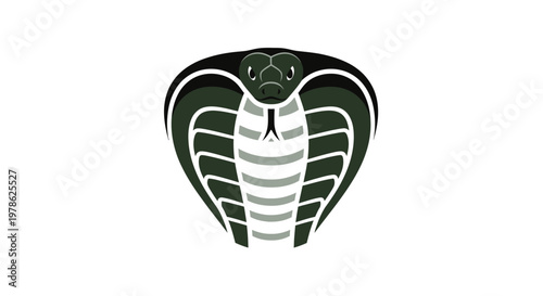 Cobra Snake Head Close Up.