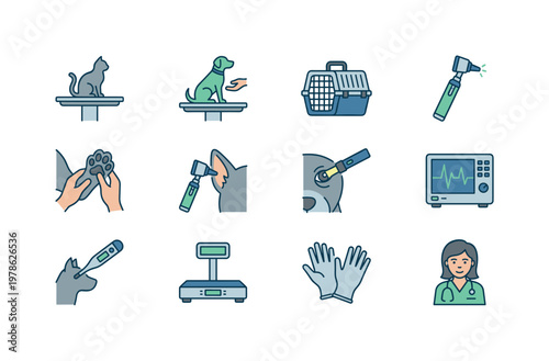 Animal examination and care with cat on table, dog on table, pet carrier, otoscope, paw check, ear inspection, eye check, heart