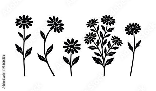 Daisy stems with leaves including tall daisy stem, curved daisy stem, short daisy stem, leafy daisy branch, single daisy stem