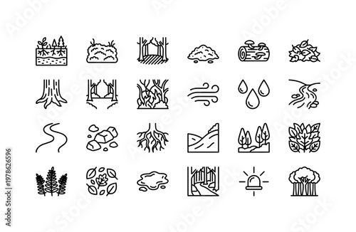 Forest fern habitats with woodland floors, mossy ground, shaded areas, humid environments and natural forest landscapes clean