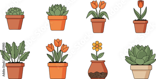 Potted Plant Vector Set with Succulents and Flower Pots in Different Styles for Home Decor Gardening Indoor Plants and Botanical Illustration Design