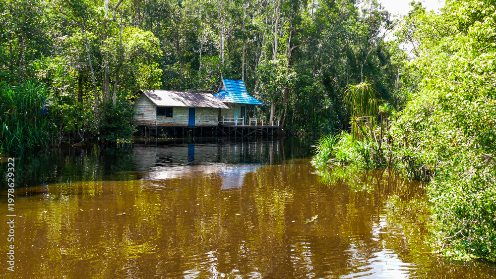 Obraz premium Tanjung Puting National Park Tropical Rainforest and River Landscape in Borneo