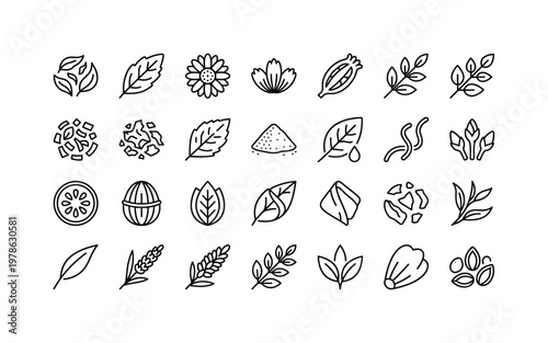 Herbal tea parts with leaves, stems, flowers, pods, seeds, and structural details clean monoline outline icon set showing exactly