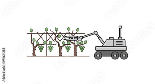 Machine Harvesting Grapes in Vineyard.