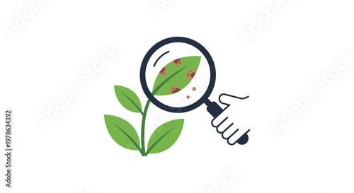 Magnifying glass examining green plant leaf.