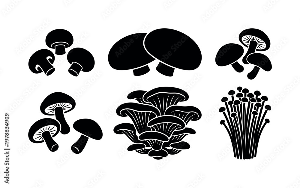 Obraz premium Mushrooms whole varieties including button mushrooms, portobello caps, shiitake mushrooms, oyster mushrooms cluster, enoki
