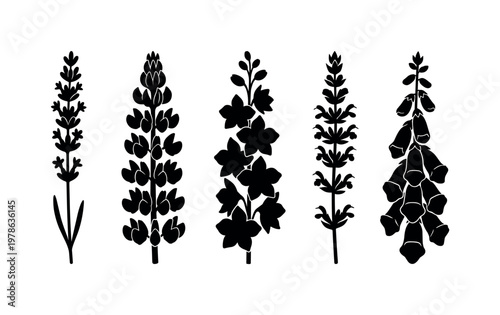 Lavender flower tall narrow spike, lupine flower vertical clustered blooms, delphinium flower tall layered spikes, salvia flower