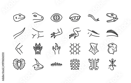 Lizard parts with heads, tails, claws, limbs, crests, and structural features clean monoline outline icon set showing exactly 24