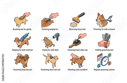Brushing pet fur gently, combing tangled fur, removing loose hair, trimming fur with scissors, clipping fur with machine, drying