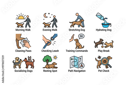 Dog walking routine with morning walk, evening walk, stretching dog, hydrating dog, cleaning paws, checking leash, training