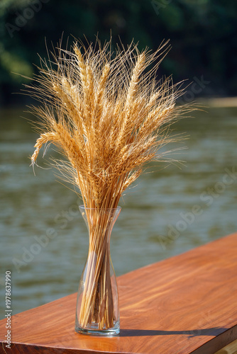 Ear of Rice for decoration,Dried wheat stalks in a glass jar are placed on a wooden table against a backdrop of a river.