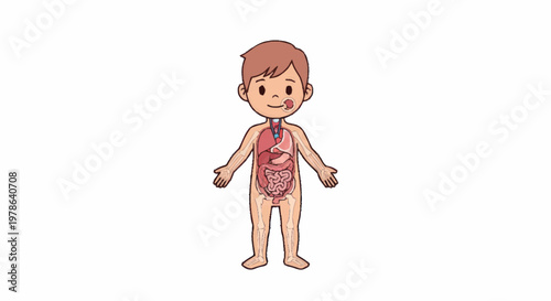 Cartoon illustration of a child with internal organs visible.