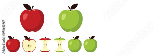 Stylized illustration of red and green apples whole and halved