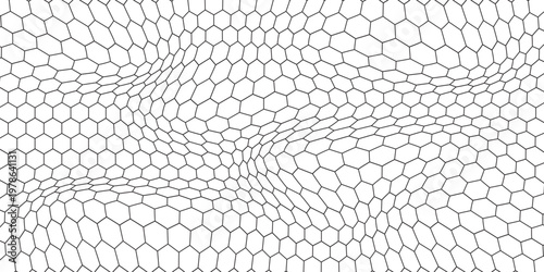 Black and white honey hexagonal cells background. Vector geometric hive hexagonal honeycombs. eps 10