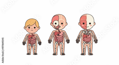 Three cartoon children showing internal anatomy and skeletal structure.
