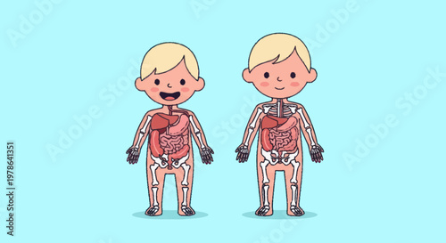 Cute Cartoon Children Anatomy Illustration Showing Internal Organs and Skeleton.