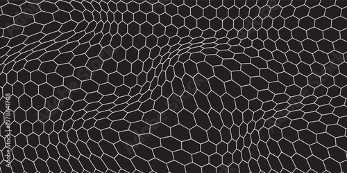 Black and white honey hexagonal cells background. geometric hive hexagonal honeycombs. Vector net dynamic eps 10