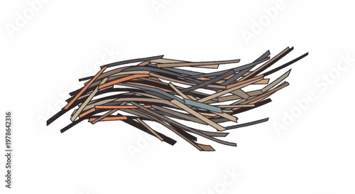 Bundle of thin dry pine needles on white background.