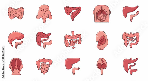 Collection of human internal organs and anatomy illustrations.