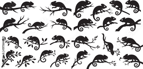 set of chameleon silhouettes on branches. Silhouette  vector illustration with out background.