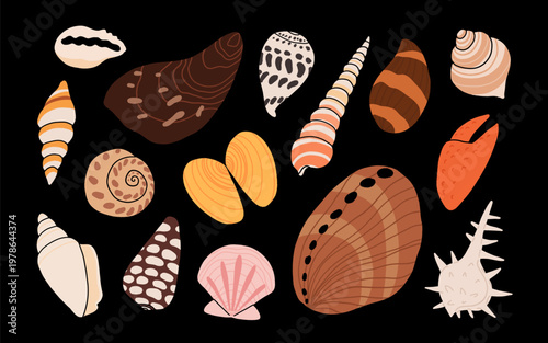Seashells and sea creatures collection illustration set, starfish, nautilus, crab, coral, urchin, dark background ocean nature