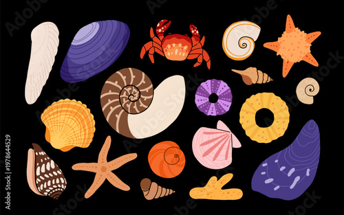 Seashells and sea creatures collection illustration set, starfish, nautilus, crab, coral, urchin, dark background ocean nature