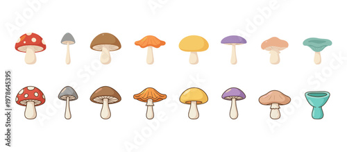 Various Types of Colorful Forest Mushrooms Set Isolated on White Background, Different Shapes and Colors of Fungi Vector Icons for Nature Design