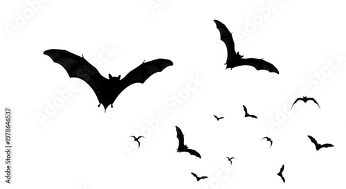 Halloween bat silhouette set isolated on white background. Spooky black horror bat graphic. Vector illustration

