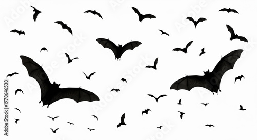 Halloween bat silhouette set isolated on white background. Spooky black horror bat graphic. Vector illustration
