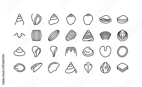 Seashell parts with spires, apertures, whorls, ridges, and structural features clean monoline outline icon set showing exactly 24