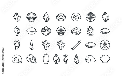 Coastal seashells with conch shells, scallops, whelks, clam shells and spiral shells found along sandy beaches clean monoline