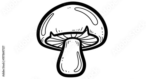 A black and white drawing of a mushroom