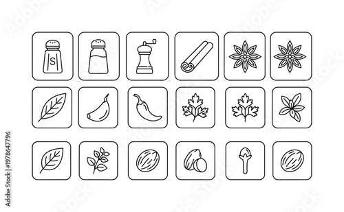 A home kitchen spice setup with a salt shaker, pepper grinder, cinnamon stick, star anise, bay leaf, garlic clove, chili pepper,