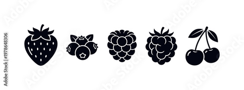 Collection of stylized berries including strawberry, blueberries, raspberries, and cherries